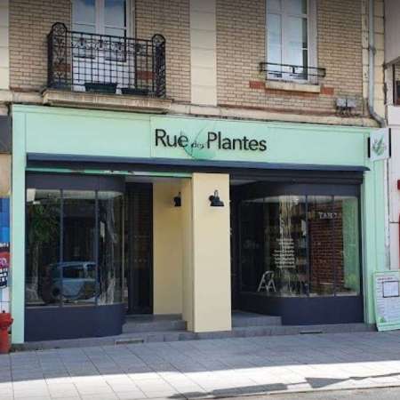 Rue Des Plantes
