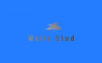 Wells Stud