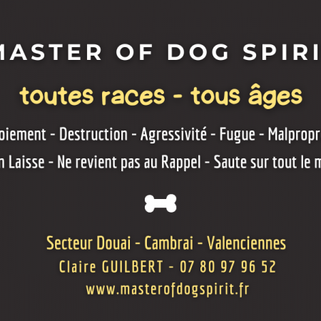 Master Of Dog Spirit
