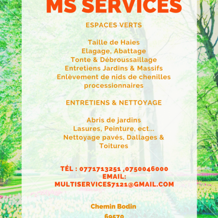 Ms Services