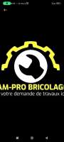 AM PRO-BRICO03