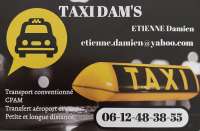 Taxi dam s