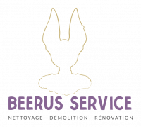 BEERUS SERVICE