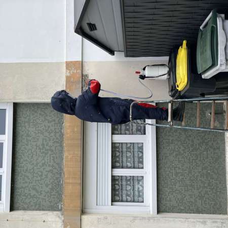 Haltoguêpes 60 Guêpes, Frelons Et Dératisation