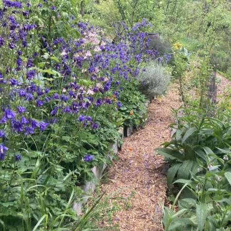 Pomaria-Pépinière Et Verger