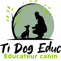 Ti Dog Education