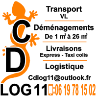 Cd log 11