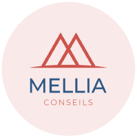 MELLIA CONSEILS